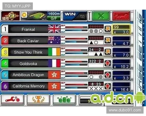 各大赌博网址的游戏种类与玩法介绍